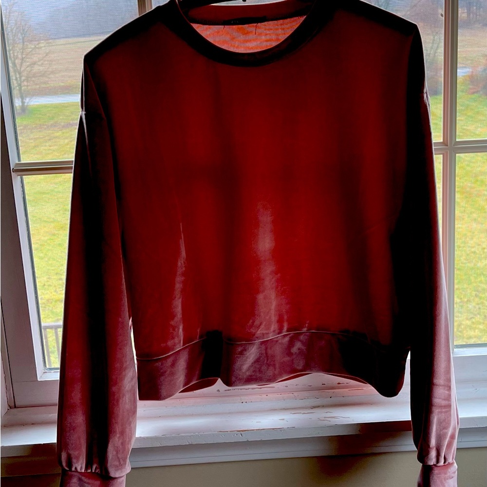Velvet sweatshirt top.  Zara